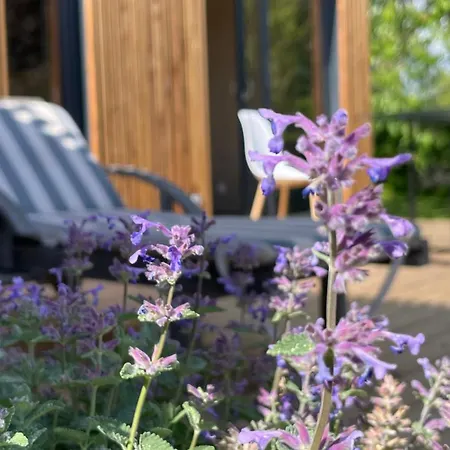 Greenkub Serenity Сasa de vacaciones *